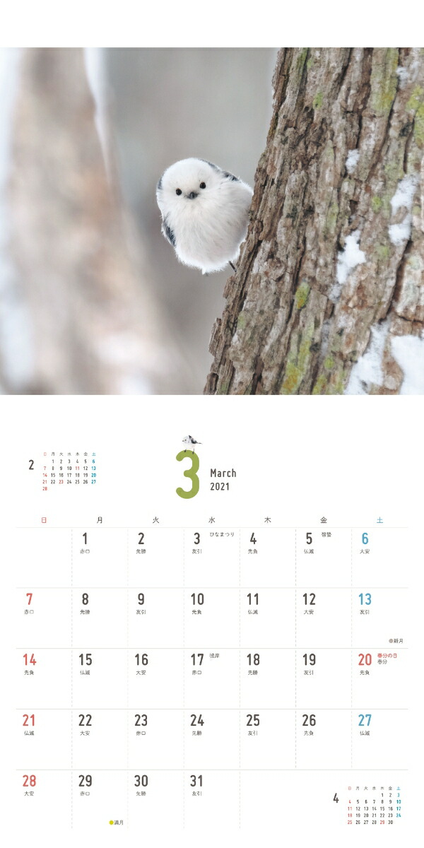 楽天ブックス まんまるかわいい雪の妖精シマエナガちゃんcalendar 21 本 楽天ブックス まんまるかわいい雪の妖精シマエナガちゃんcalendar 21 本